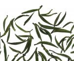 Bamboo Leaf Green Tea - Zhu Ye Qing Tea